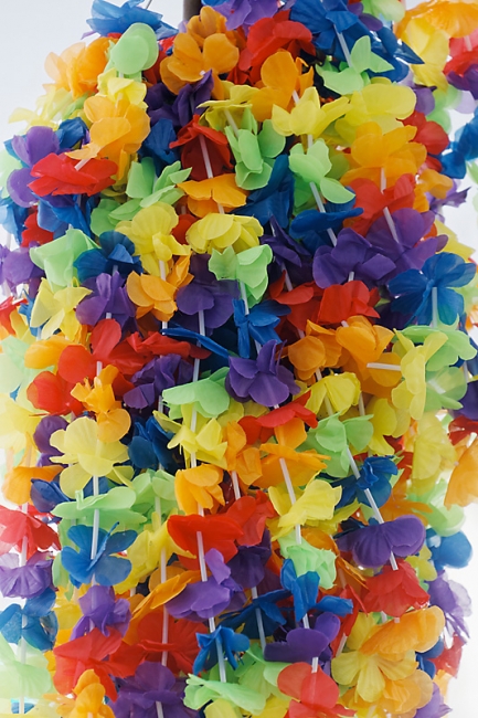 Gay Pride Bordeaux 2016-029